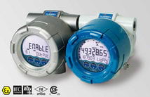 Fluidwell elektronisches Summierwerk E-Serie Fluidwell elektronisches Summierwerk E-Serie Ex geschützt